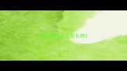 哈士奇喂什么能长胖