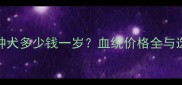 边牧纯种犬多少钱一岁血统价格全与选购指南