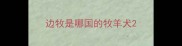 边牧是哪国的牧羊犬