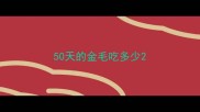 50天的金毛吃多少