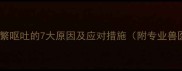 金毛犬频繁呕吐的7大原因及应对措施附专业兽医建议