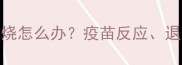 猫咪接种疫苗后发烧怎么办疫苗反应退烧措施与护理指南