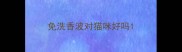 免洗香波对猫咪好吗