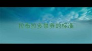 拉布拉多禁养的标准