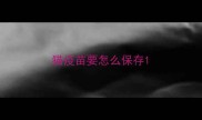 猫疫苗要怎么保存
