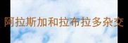阿拉斯加和拉布拉多杂交