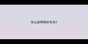 怎么给狗狗织毛衣