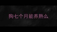 狗七个月能养熟么