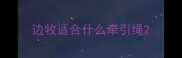 边牧适合什么牵引绳