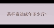 茶杯泰迪成年多少斤