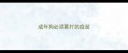 成年狗必须要打的疫苗