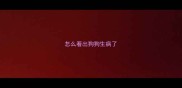 怎么看出狗狗生病了