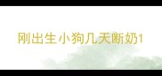 刚出生小狗几天断奶