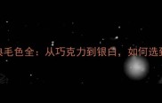 拉布拉多犬的12种经典毛色全从巧克力到银白如何选到最适合的毛色品种