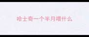 哈士奇一个半月喂什么