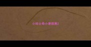 小哈士奇小便很黄