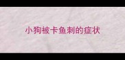 小狗被卡鱼刺的症状