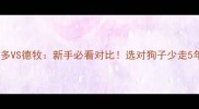 拉布拉多VS德牧新手必看对比选对狗子少走5年弯路