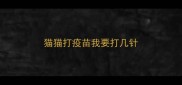 猫猫打疫苗我要打几针
