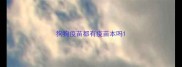 狗狗疫苗都有疫苗本吗