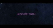 金毛幼犬两个月掉毛