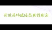 荷兰英特威疫苗真假查询