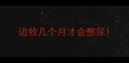 边牧几个月才会憋尿