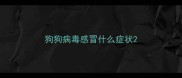 狗狗病毒感冒什么症状