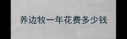 养边牧一年花费多少钱