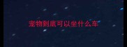 宠物到底可以坐什么车