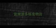 宜宾派多格宠物店