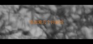 高加索几个月起性