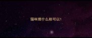 猫咪擦什么粉可以