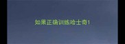 如果正确训练哈士奇