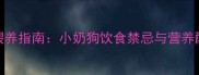 哈士奇幼犬科学喂养指南小奶狗饮食禁忌与营养配比全附食谱