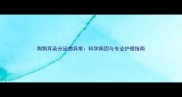 狗狗耳朵分泌物异常科学病因与专业护理指南