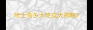 哈士奇多大吃成犬狗粮