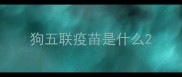狗五联疫苗是什么