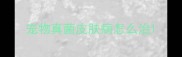 宠物真菌皮肤病怎么治