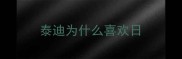 泰迪为什么喜欢日