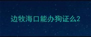 边牧海口能办狗证么