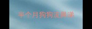 半个月狗狗流鼻涕