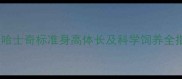 五个月哈士奇标准身高体长及科学饲养全指南1