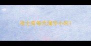 哈士奇每天溜半小时