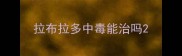 拉布拉多中毒能治吗