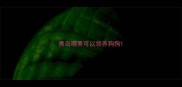 青岛哪里可以领养狗狗
