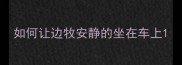 如何让边牧安静的坐在车上