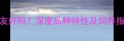 拉布拉多对陌生人友好吗深度品种特性及饲养指南附训练方法