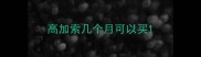 高加索几个月可以买