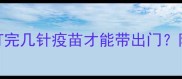 狗狗疫苗接种全攻略打完几针疫苗才能带出门附疫苗时间表与注意事项